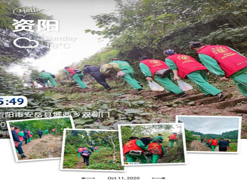 信泰志愿服務隊，有你們在，他們不孤單！